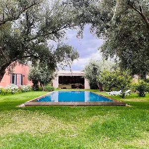 Serenity Olive Retreat Prive Marrakech Marrakesh