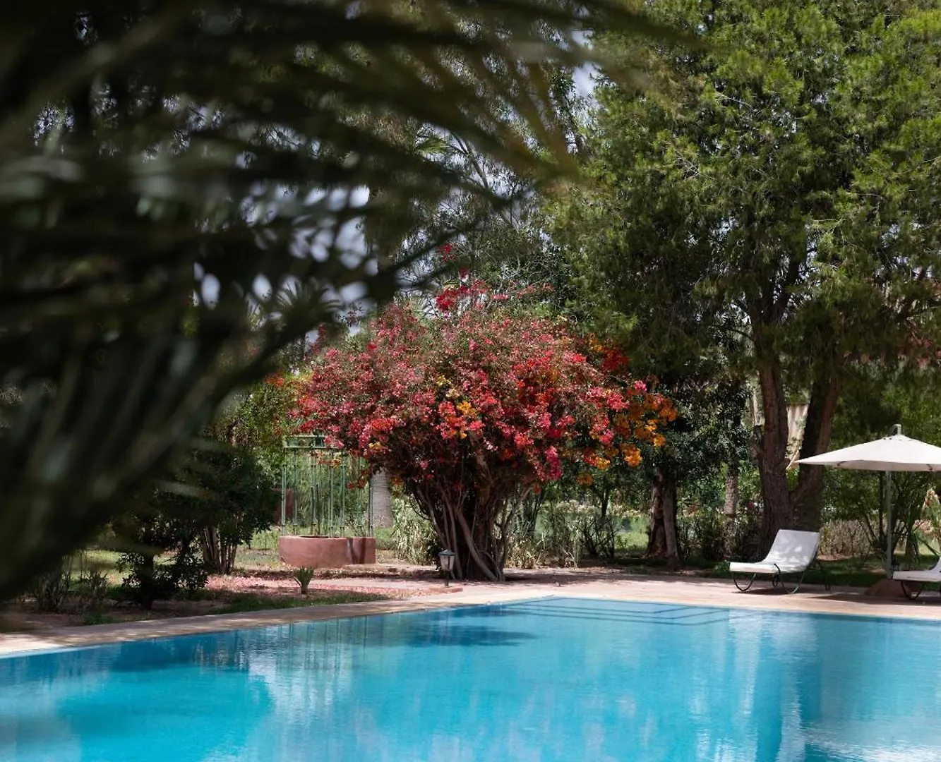 Villa Dar Ambre Marrakesh Morocco